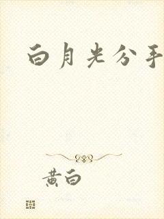 白月光分手日常