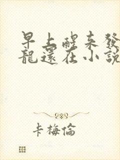 早上醒来发现巨龙还在小说