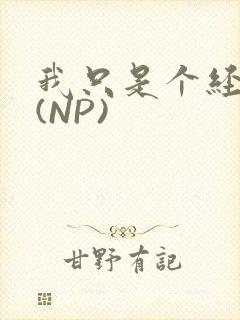 我只是个经纪人(NP)