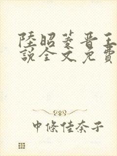 陆昭菱晋王的小说全文免费阅读