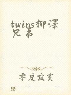 twins柳泽兄弟