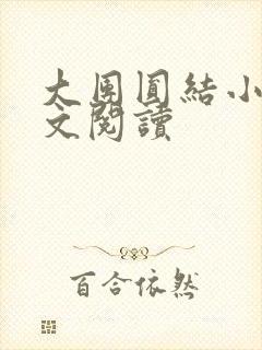 大团圆结小茹全文阅读