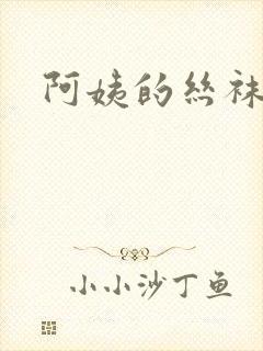 阿姨的丝袜小说