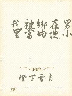 我被绑在男公厕里当肉便小说