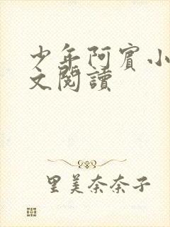 少年阿宾小说全文阅读