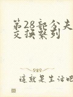 第28部分夫妇交换系列