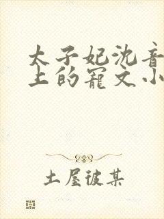 太子妃沈音和皇上的宠文小说