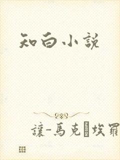 知白小说