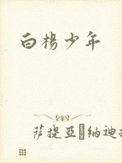 白杨少年