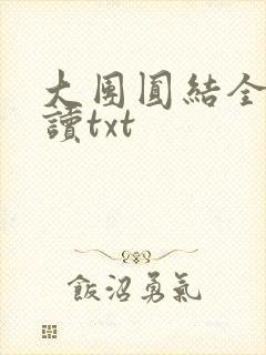 大团圆结全文阅读txt