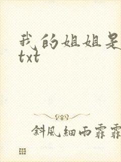 我的姐姐是美女txt