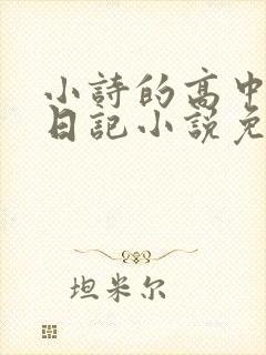 小诗的高中成长日记小说免费阅读