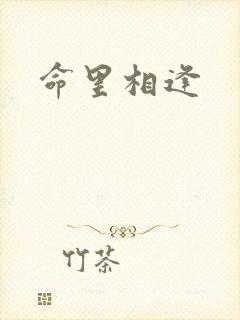 命里相逢