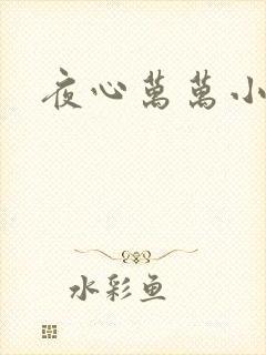 夜心万万小说