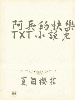 阿兵的快乐生活TXT小说免费阅读全章