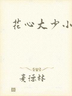 花心大少小说