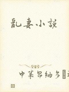 乱妻小说