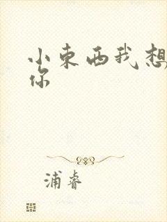 小东西我想弄坏你