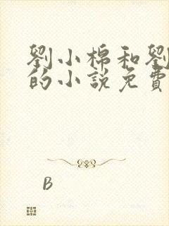 刘小棉和刘易文的小说免费阅读