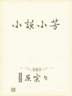 小说小芳