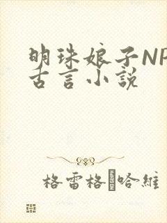 明珠娘子NPC古言小说