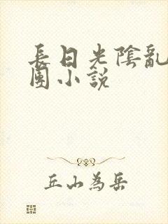 长日光阴乱作一团小说