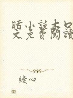 赌小说木口银全文免费阅读笔趣阁