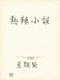 热辣小说