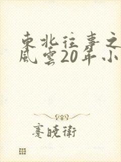 东北往事之黑道风云20年小说