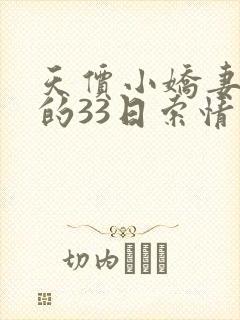 天价小娇妻总裁的33日索情
