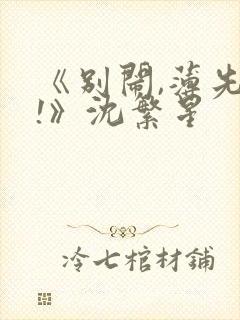 《别闹,薄先生!》沈繁星