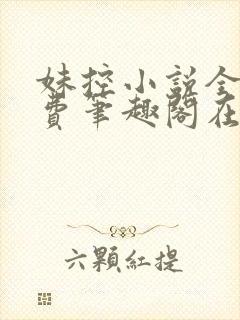 妹控小说全文免费笔趣阁在线阅读