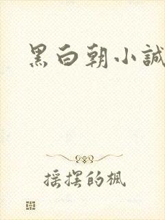 黑白朝小诚