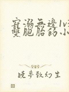 宠溺无边1v3双胞胎的小说