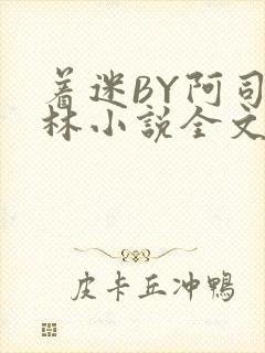 着迷BY阿司匹林小说全文免费阅读