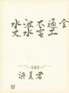 水泄不通金银原文水电工