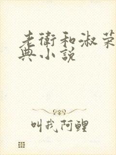 老卫和淑荣的经典小说