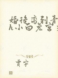 婚后脔到青梅哭h小白兔宫交h