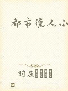 都市猎人小说