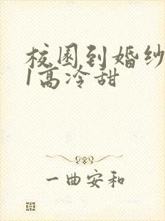 校园到婚纱1V1高冷甜