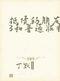 抵债的朋友麦子3和普通版对比