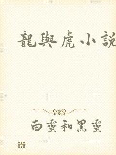 龙与虎小说