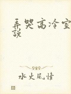弄哭高冷室友小说