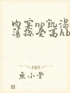 肉宴np饥渴放荡总受高hbl