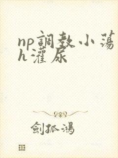 np调教小荡货h灌尿