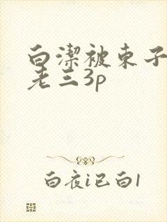 白洁被东子老二老三3p