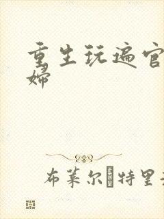 重生玩遍官场贵妇