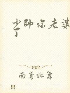 少帅你老婆又跑了