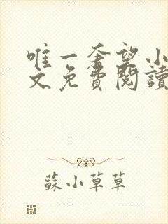 唯一奢望小说全文免费阅读