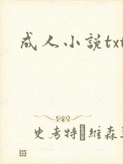 成人小说txt